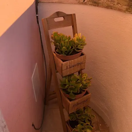 Private View Over *