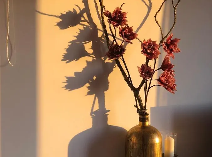 Private View Over * Lisboa