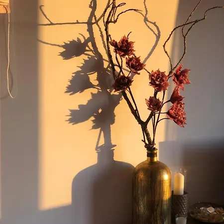 Private View Over * Lisboa